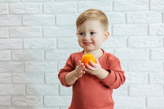 Uma criança pequena de 2 anos segura uma fruta cítrica laranja nas mãos. O menino quer comer tangerina