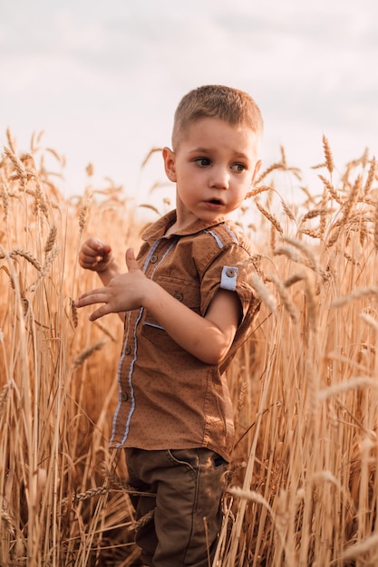 Uma criança pequena fica em um campo com trigo contra o céu