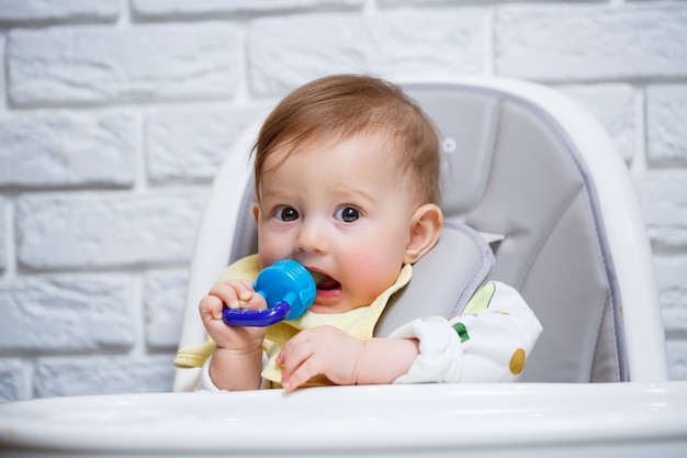 Uma criança pequena se senta em uma cadeira alta e come frutas através da rede. Nibbler para alimentar bebês