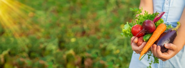 Uma criança tem uma colheita de legumes em suas mãos foco seletivo