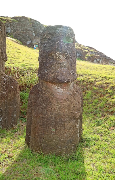 Uma das enormes estátuas abandonadas de Moai no vulcão Rano Raraku na Ilha de Páscoa Chile