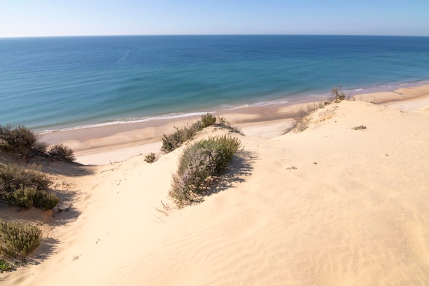 Uma das praias mais bonitas da Espanha, chamada (El Asperillo, Doñana, Huelva) na Espanha.