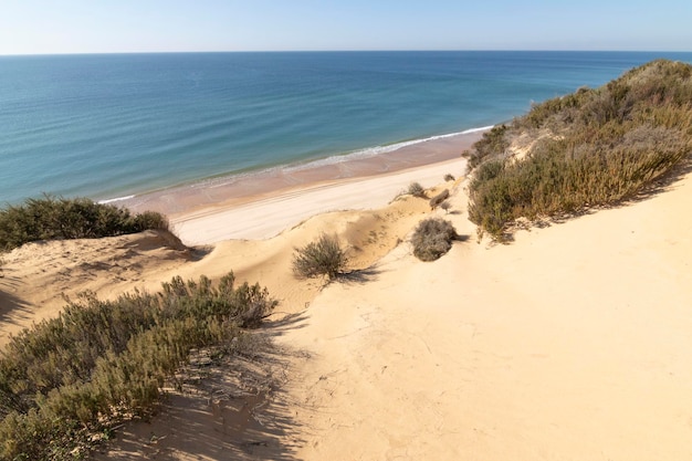 Uma das praias mais bonitas da Espanha, chamada (El Asperillo, Doñana, Huelva) na Espanha.