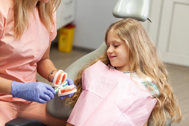 Uma dentista mostra a uma menina como escovar corretamente os dentes enquanto segura um modelo de mandíbula humana e uma escova de dentes em suas mãos na clínica dentária Cuidados dentários visita ao dentista higiene bucal