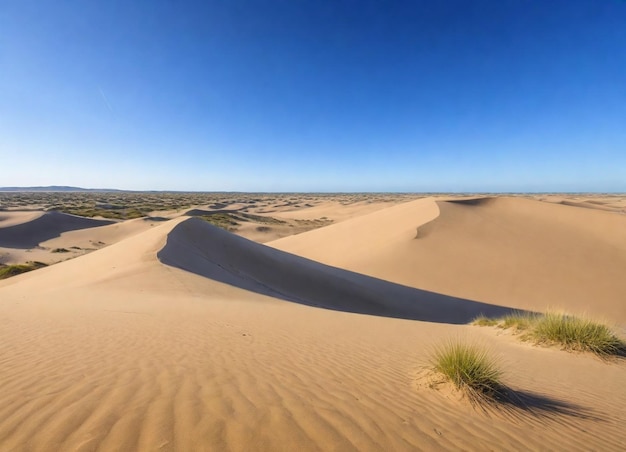 uma duna de areia com um caminho que leva ao oceano HD 8K papel de parede Imagem fotográfica de estoque