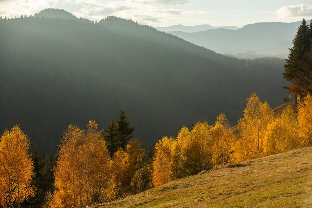 Uma encantadora paisagem montanhosa nas montanhas Bucegi, Cárpatos, Romênia