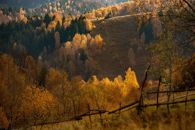 Uma encantadora paisagem montanhosa nos Cárpatos, Romênia.