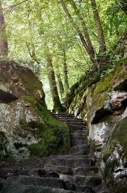 Uma escada estreita na floresta em Mullerthal, Luxemburgo