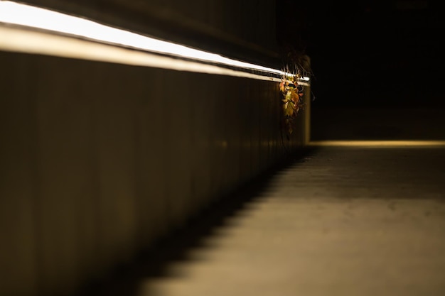 Uma escada para baixo à noite feita de concreto com folhas coloridas de outono e luz