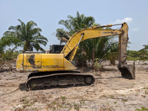 Uma escavadeira amarela está em um campo de terra com palmeiras ao fundo