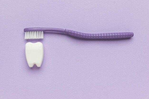 Uma escova roxa limpando uma estatueta de dente branco em um fundo roxo.