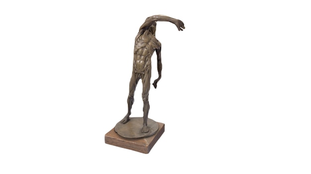 Uma escultura de bronze de um homem fazendo um lançamento de disco.