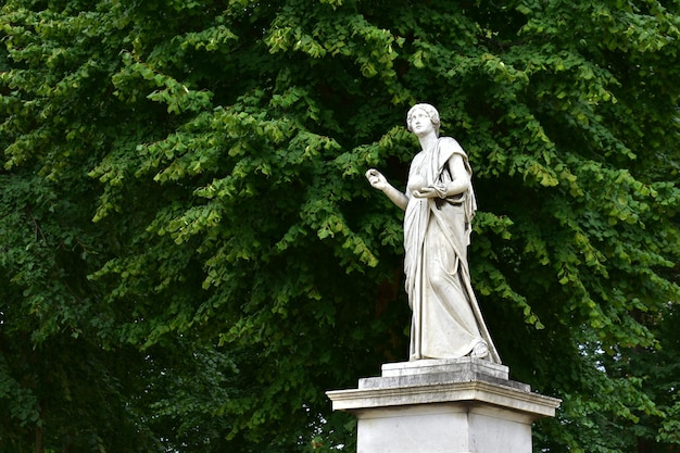 Uma estátua clássica em um jardim cercado de vegetação exuberante