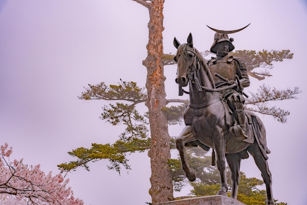 Uma estátua de Masamune Date a cavalo entrando no Castelo de Sendai em flor de cerejeira em plena floração
