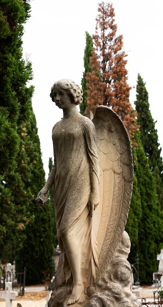 Uma estátua de um anjo fica na frente das árvores.