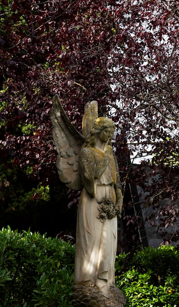 Foto uma estátua de um anjo