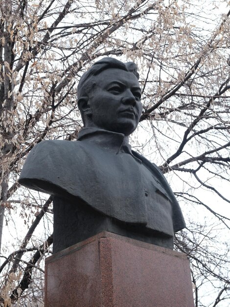 Foto uma estátua de um menino está em uma árvore sem folhas