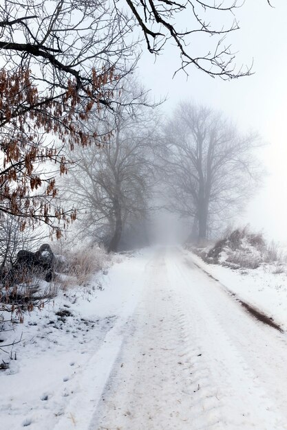 Uma estrada coberta de neve no inverno