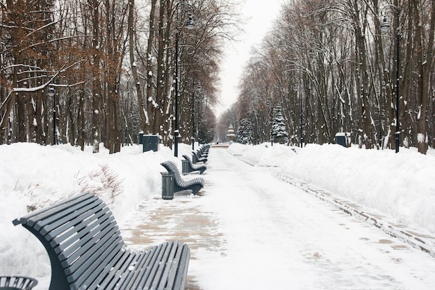 Uma estrada coberta de neve vazia no parque. Uma estrada na neve, uma área de parque