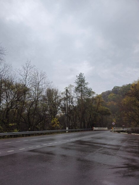 Foto uma estrada com árvores e um céu nublado