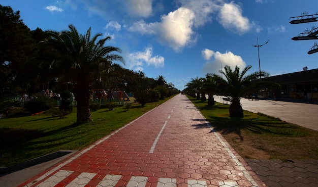 Foto uma estrada com palmeiras e uma passarela de tijolos vermelhos