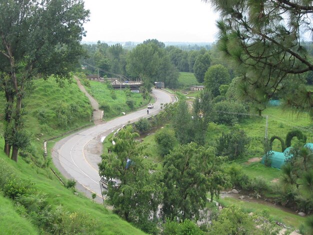 uma estrada com um sinal verde que diz citação a estrada citação