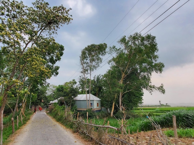 Uma estrada com uma casa nela