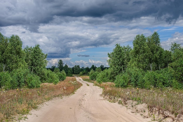 Uma estrada de terra bem enrolada passa por um bosque de bétulas, com um céu cinza sombrio acima dela. Ucrânia