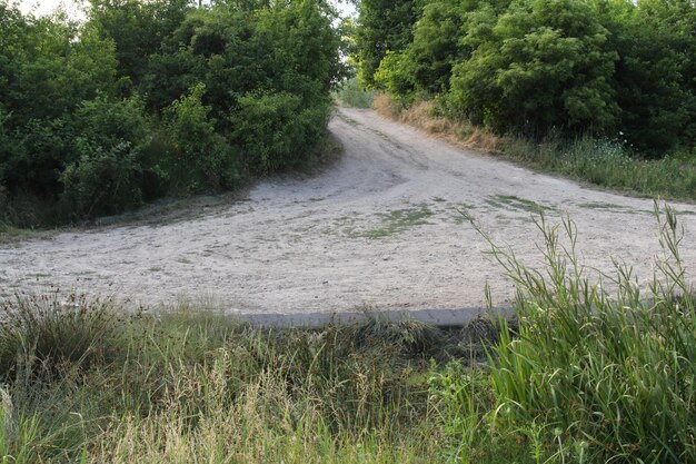 Uma estrada de terra com árvores e arbustos