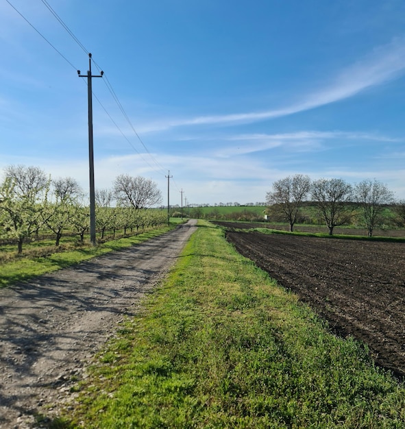 Uma estrada de terra com uma placa que diz "o nome da fazenda".