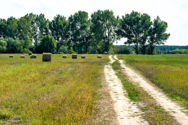 Uma estrada de terra em um campo com trigo no verão no contexto das nuvens Recreação ao ar livre longe da azáfama da cidade