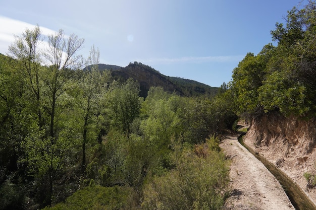 Uma estrada de terra nas montanhas com árvores e montanhas ao fundo