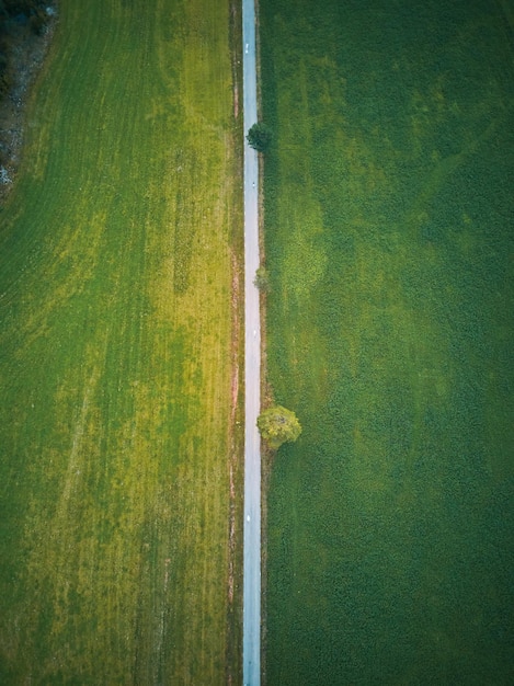 Uma estrada em um campo verde