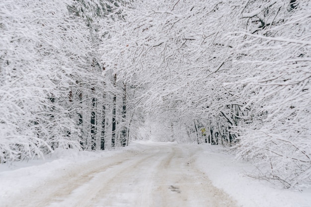 Uma estrada em uma floresta coberta de neve no inverno