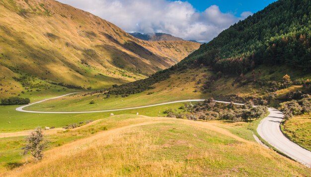 Foto uma estrada perfeita e sinuosa através das colinas da nova zelândia perto de queenstown otago