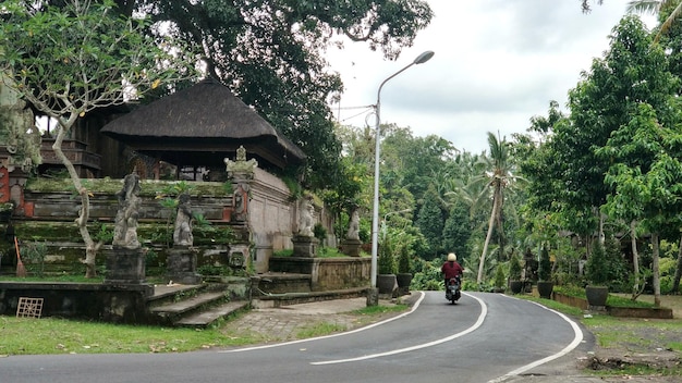 Uma estrada pitoresca na ilha de bali as trilhas misteriosas de uma ilha de conto de fadas