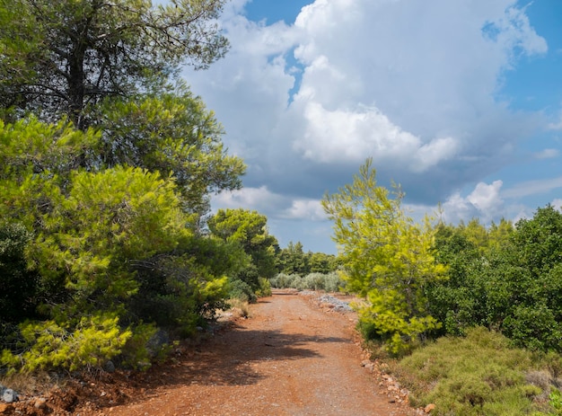 Uma estrada rural e nuvens cumulus em uma floresta de pinheiros na ilha de Evia, na Grécia