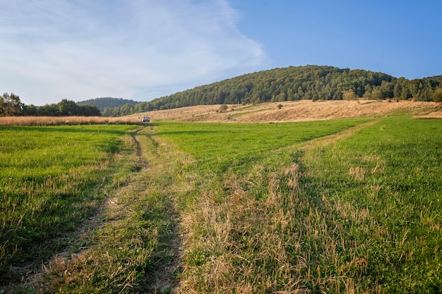 Uma estrada rural passa por um campo de trigo nas montanhas, um carro velho está longe no horizonte, uma paisagem deslumbrante