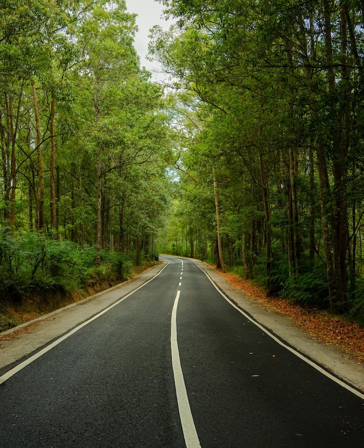 Foto uma estrada tranquila no meio da floresta.