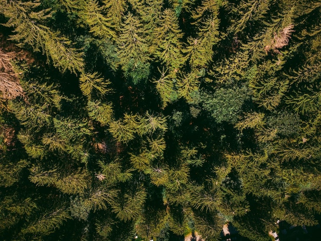 Uma excelente vista sobre as montanhas italianas