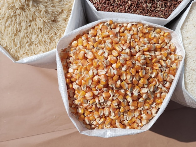 Foto uma exibição cativante de diversas variedades de arroz, incluindo arroz branco castanho de grãos mistos, arroz preto e milho, aninhados em tigelas contra um cenário plano.