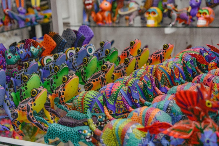Foto uma exibição de peixes coloridos com uma placa ao fundo