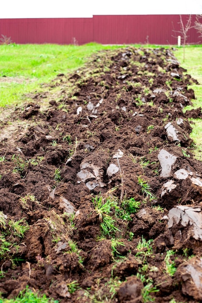 Uma faixa de terra arada em uma horta no início da primavera Preparação do solo para o plantio de culturas