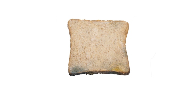 Uma fatia de pão branco com mofo isolado no fundo branco com caminho