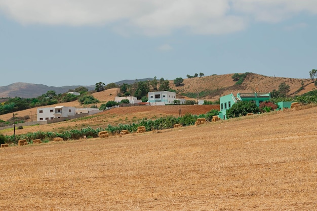 Uma fazenda com uma casa verde ao fundo