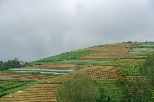 Uma fazenda nas montanhas com um céu nublado