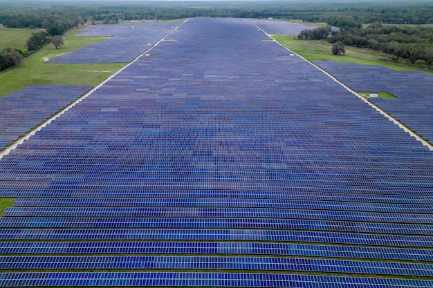 Uma fazenda solar é mostrada em um campo.