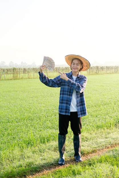 Foto uma fazendeira asiática está de pé no meio de um campo de arroz segurando notas tailandesas e o polegar no meio do campo de arroz ao amanhecer
