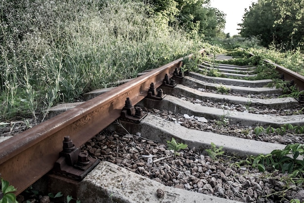 Uma ferrovia abandonada passando pela floresta.