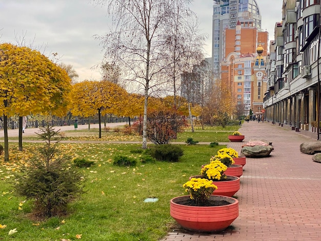 Uma fileira de plantas com flores amarelas em frente a um prédio